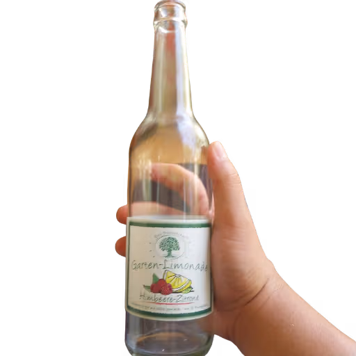 Bad Brambacher Garten-Limonade Himbeer-Zitrone 0,5l MEHRWEG