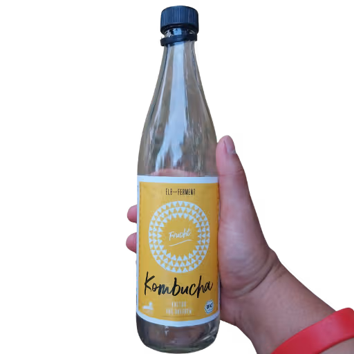 Elb Ferment Kombucha 0,5l MEHRWEG