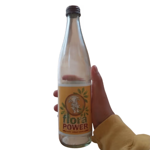 Flora Power 0,5l MEHRWEG