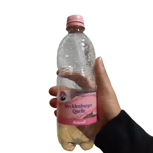 Mecklenburger Quelle Naturell 0,5l EINWEG