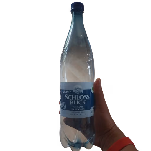 Quelle Schlossblick Natürliches Mineralwasser 1,0l EINWEG