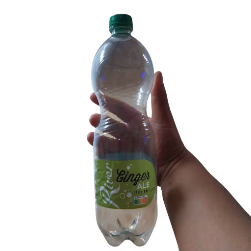 River Ginger Ale 1,0l EINWEG