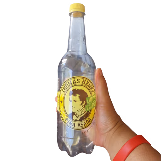 Thomas Henry Pin̈a Asada 0,75l EINWEG